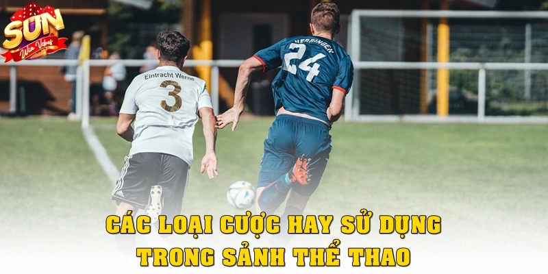 Các loại cược hay sử dụng trong sảnh thể thao